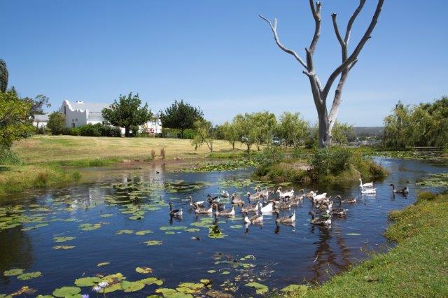 Stanford self catering