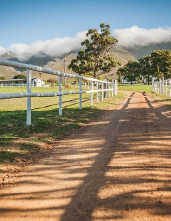 White Water Farms