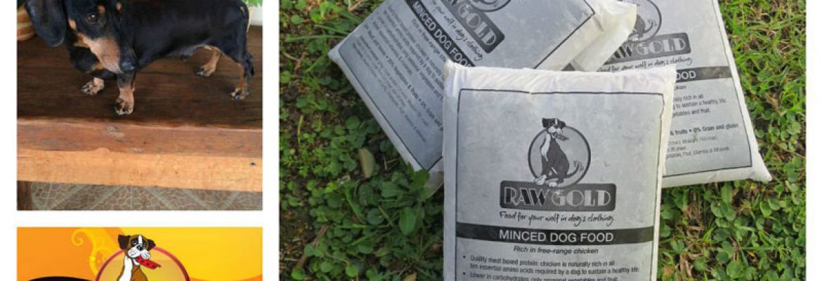 Raw Gold Dog Food
